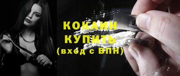 прущие грибы Аркадак