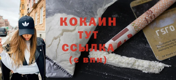 прущие грибы Аркадак