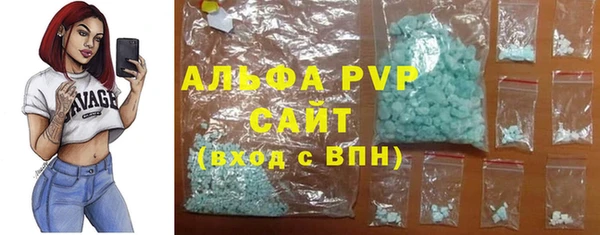 прущие грибы Аркадак