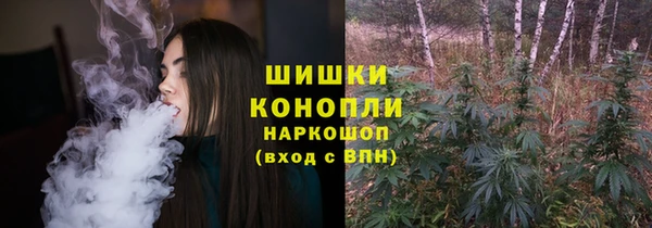 прущие грибы Аркадак